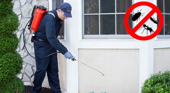 Bigadiç Dezenfeksiyon böcek ilaçlama ve haşere kontrolü — ilaclama-tr.com